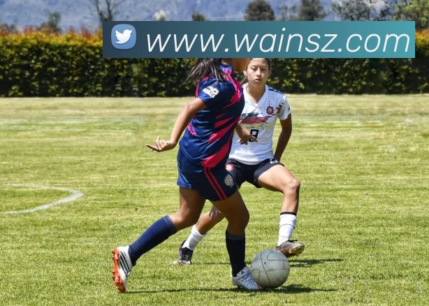 开运体育app官网入口(中国)有限公司 - 官网平台生态图